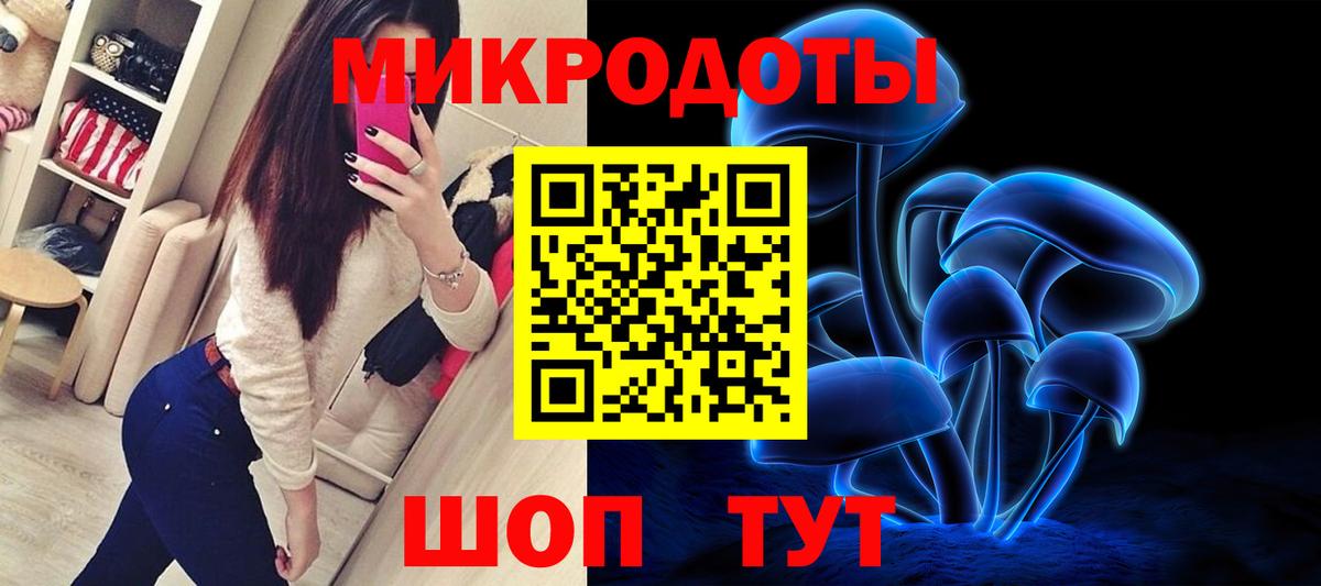 Гагарин  купить закладку  Вход с VPN  Псилоцибиновые грибы Psilocybe  Псилоцибиновые грибы ЛСД 